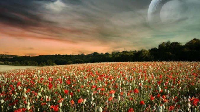 Rust开发Web后端效率如何?